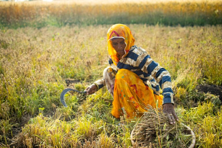 Sustainability in Botanical Sourcing: Our Commitment