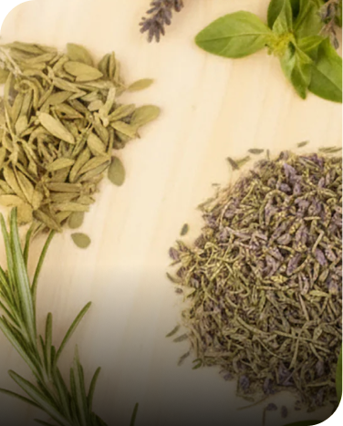 Seasoning Herbs