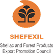 SHEFEXIL 1