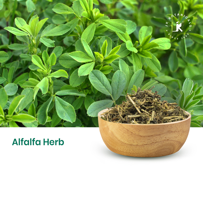 Alfalfa Herb Cut