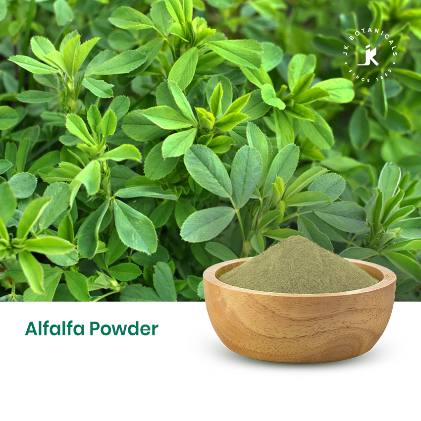 Alfalfa Powder