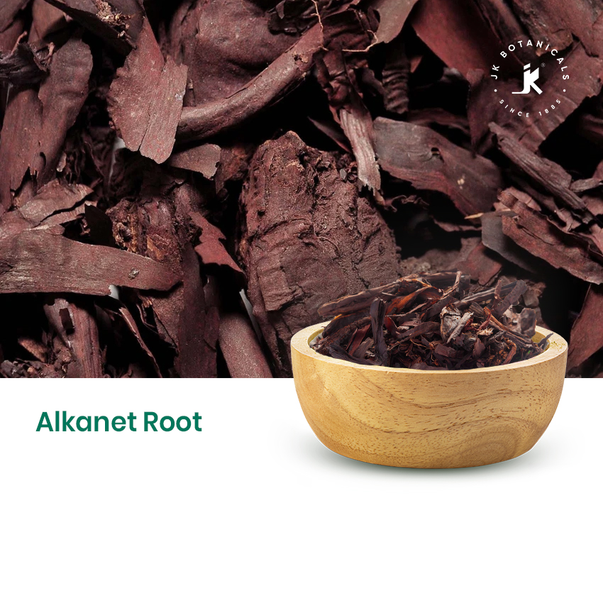 Alkanet Root