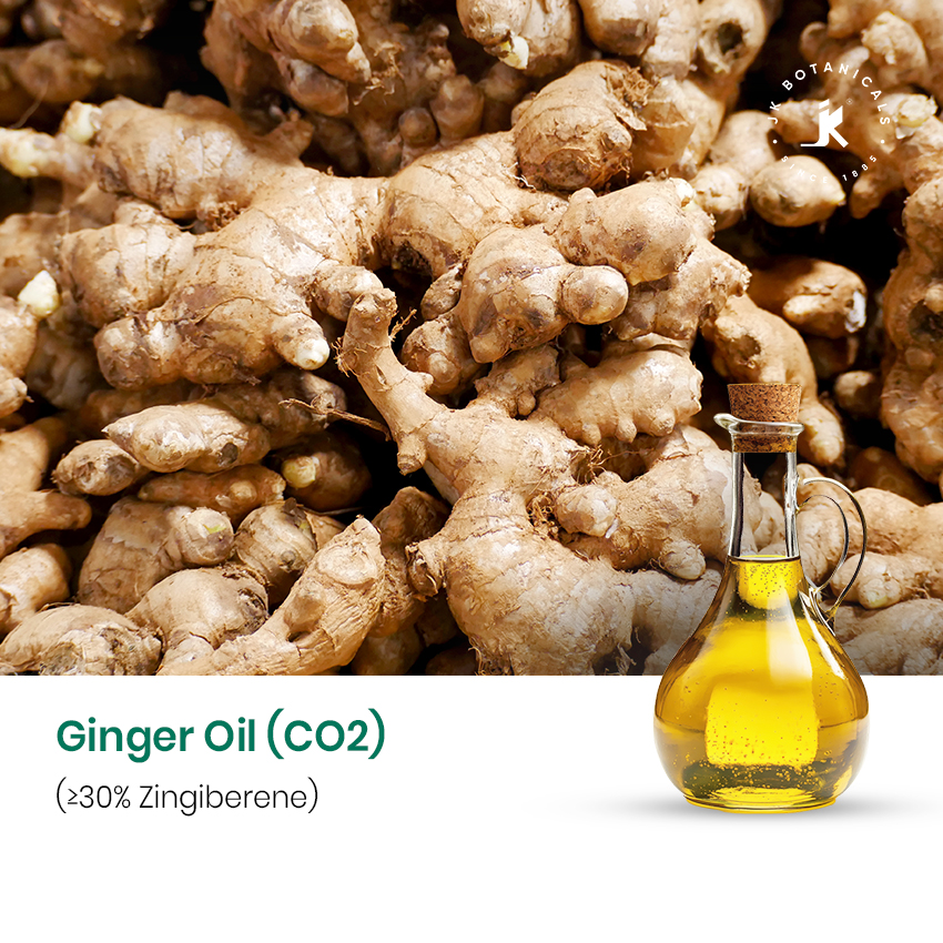 Ginger CO₂ Oil (≥30% Zingiberene)