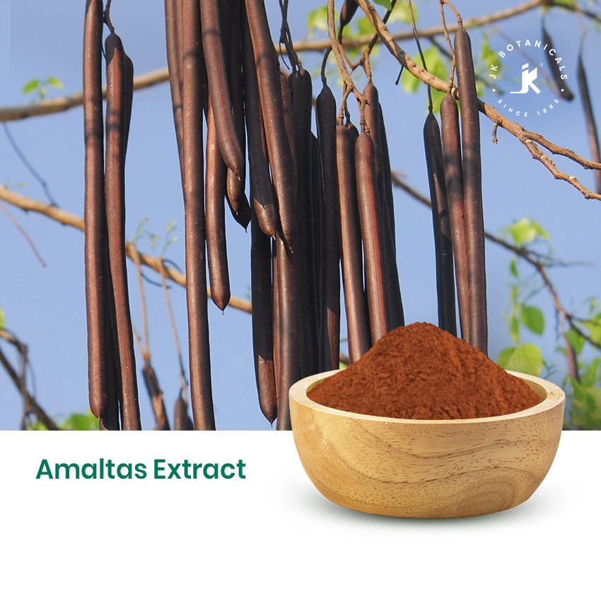 Amaltas Extract