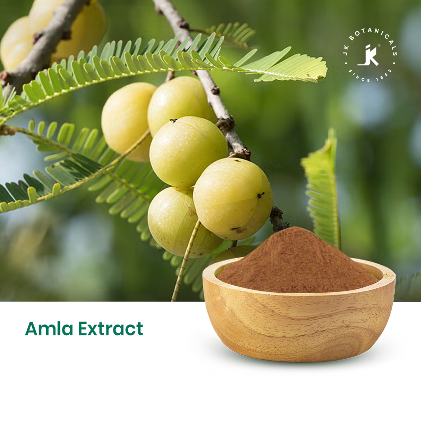 Amla Extract
