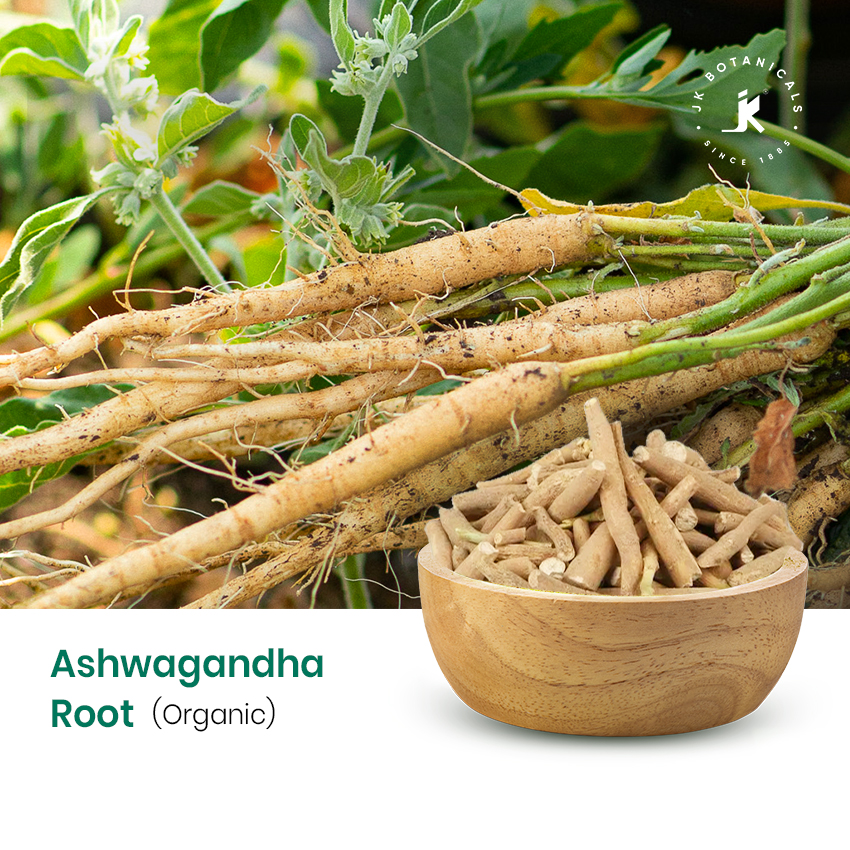 Ashwagandha Root Organic