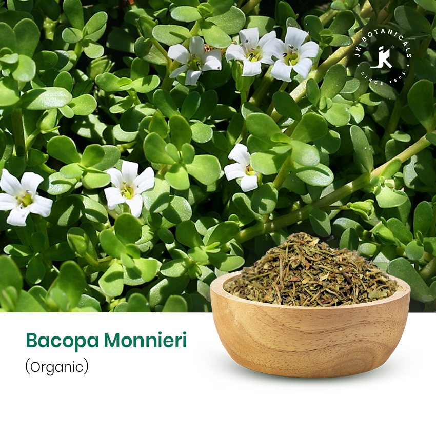 Bacopa Organic