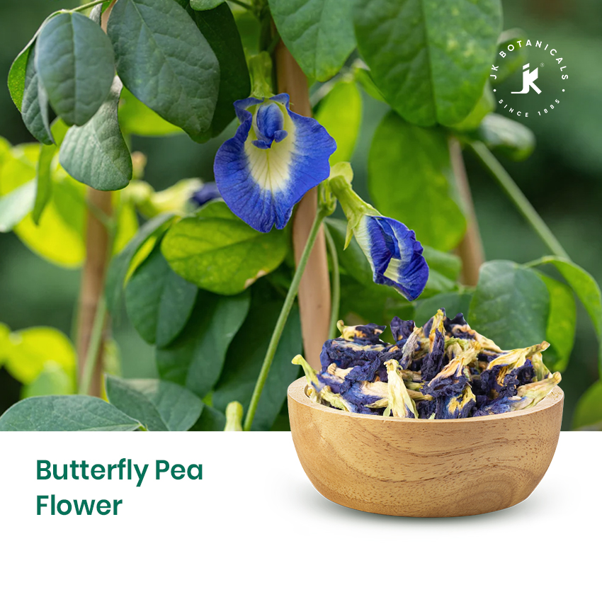 Butterfly Pea Flower