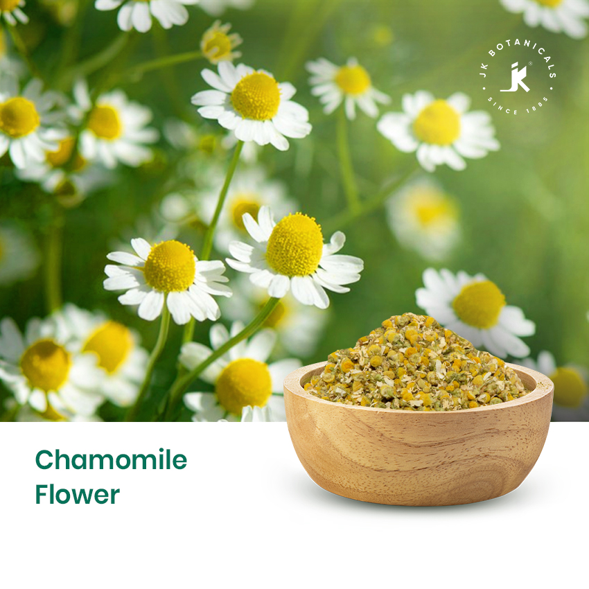 Chamomile Flowers