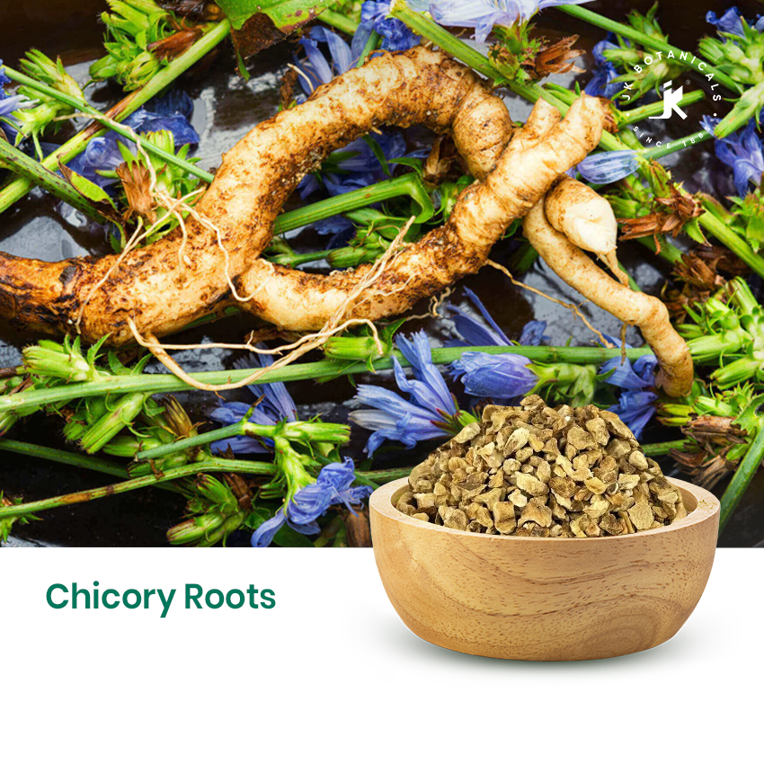 Chicory Roots