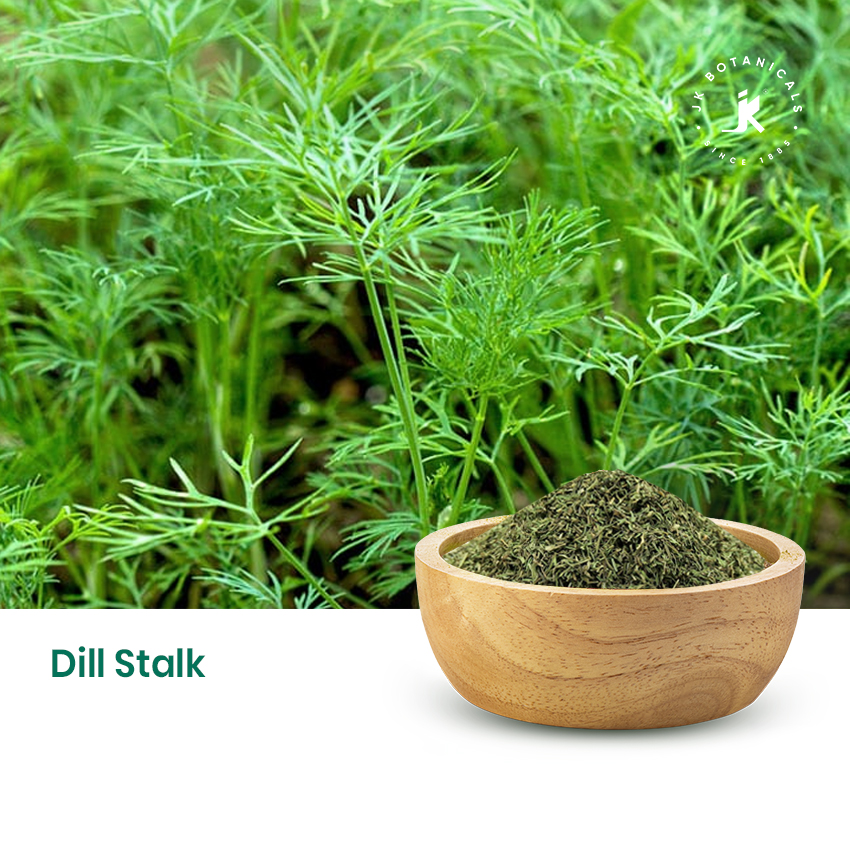 Dill Stalk