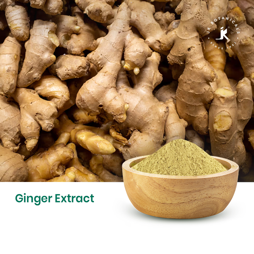 Ginger Extract