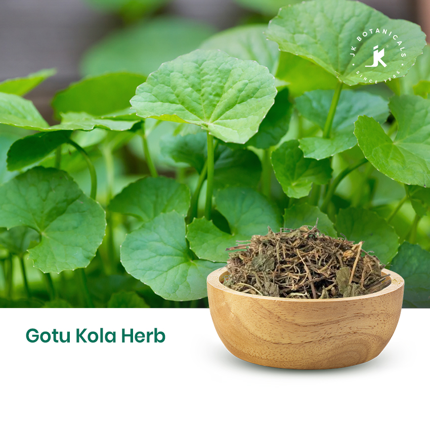 Gotu Kola Herbs