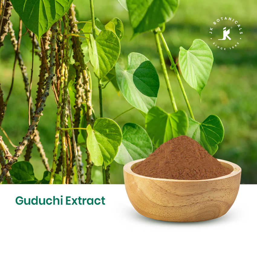Guduchi Extract