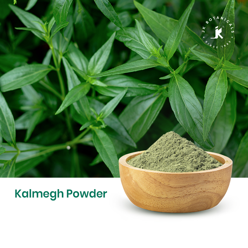 Kalmegh Powder
