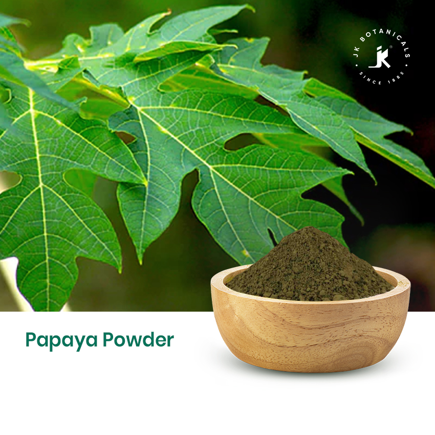 Papaya Leaves Powder