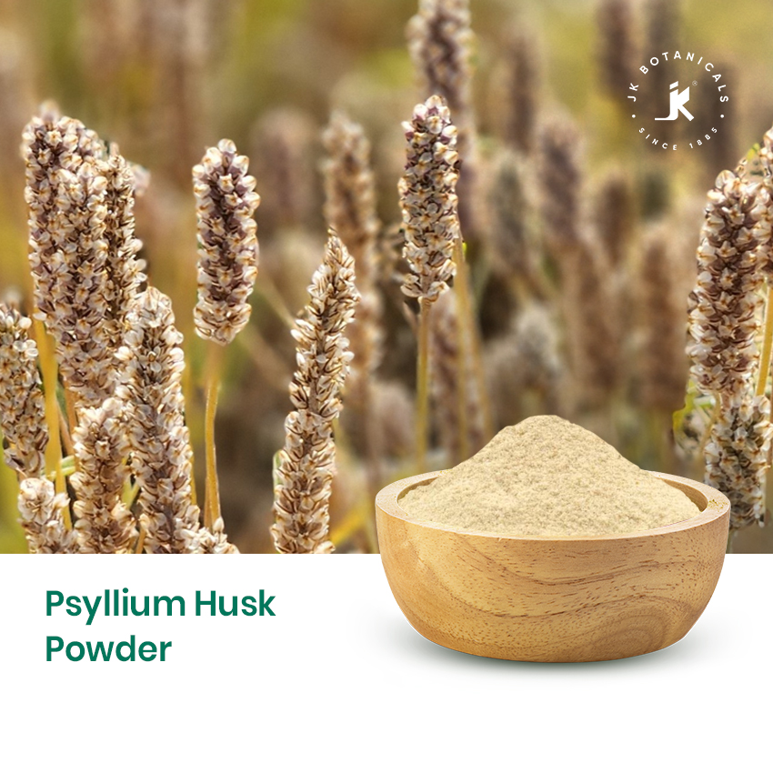 Psyllium Husk Powder