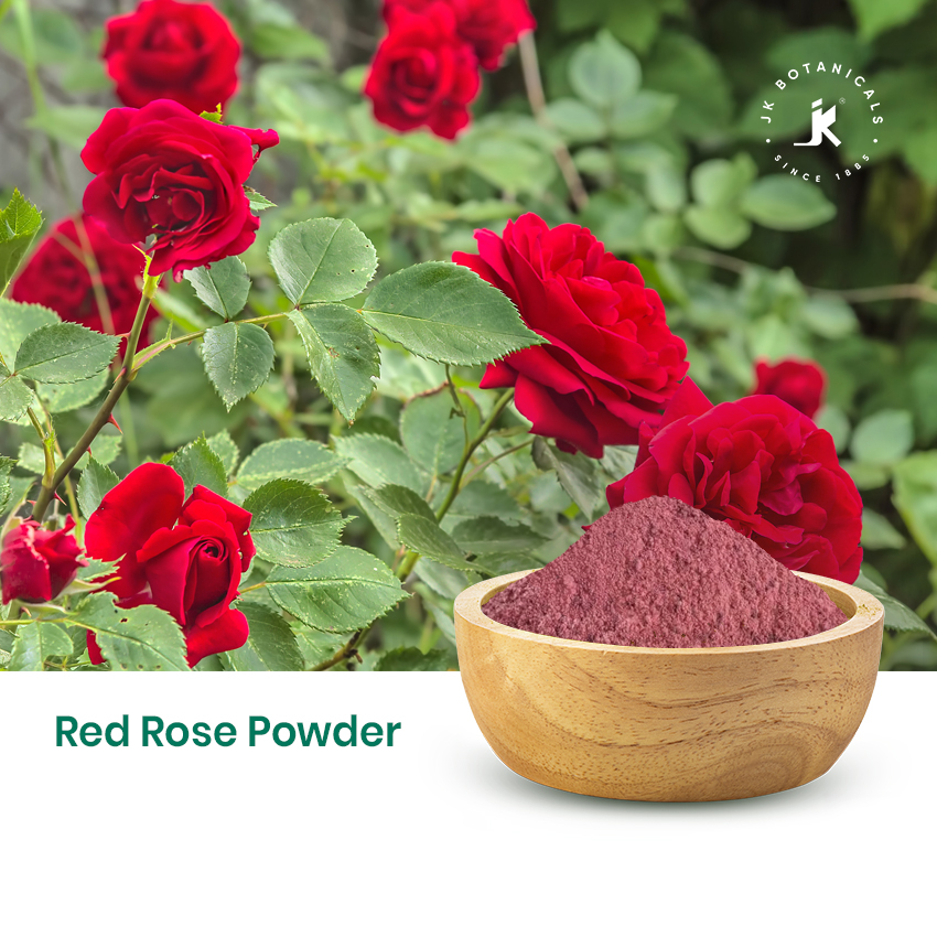 Red Rose Powder