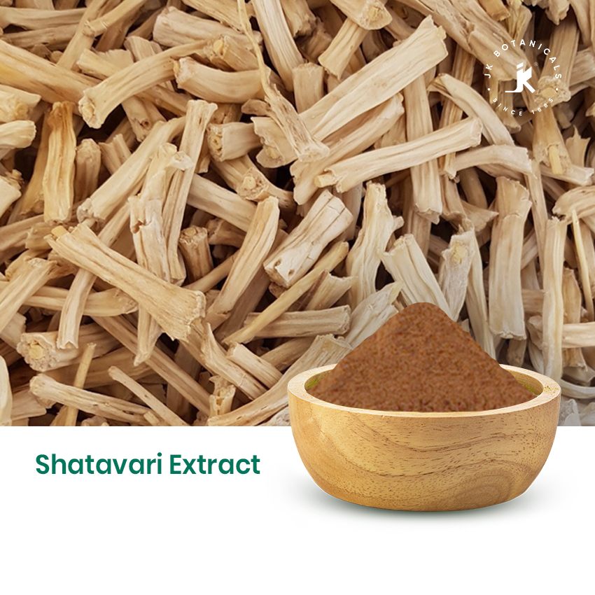 Shatavari Extract