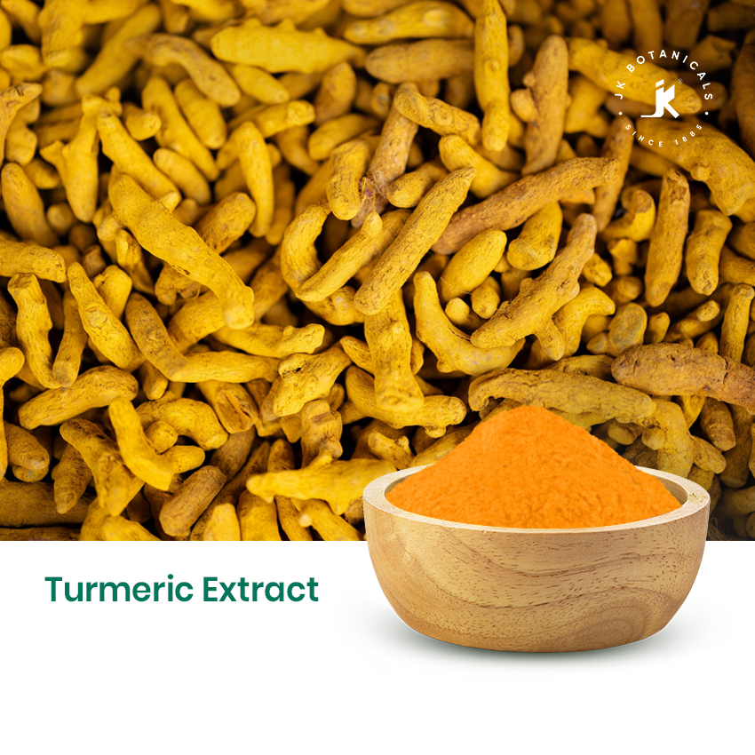 Turmeric Extract