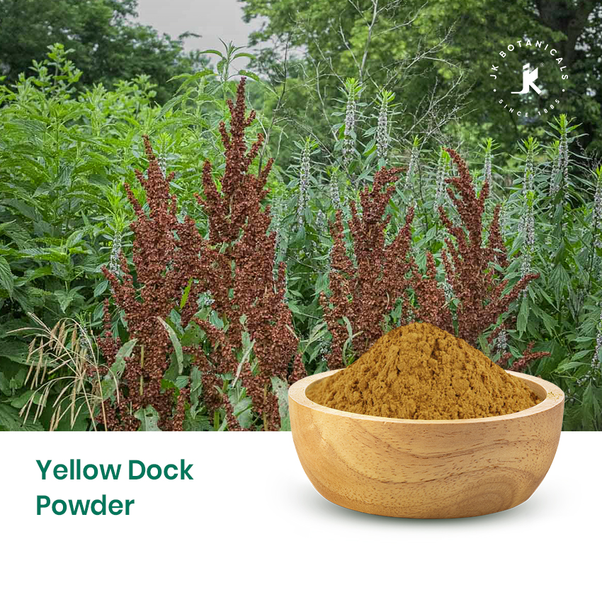 Yellow Dock Powder