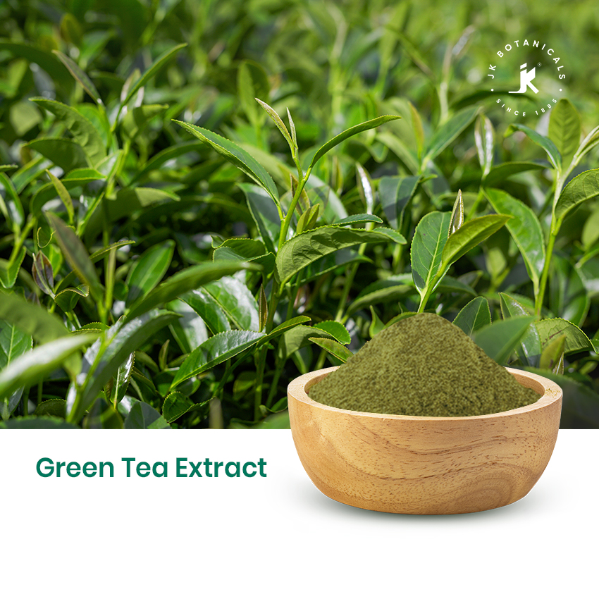 Green Tea Extract