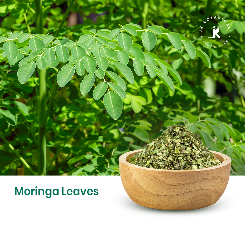 Moringa Leaves
