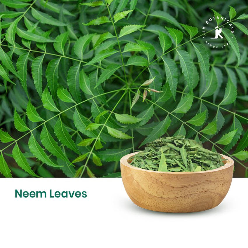 Neem Leaves