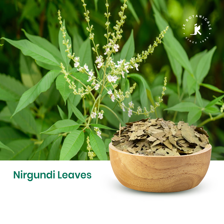 Nirgundi Leaves