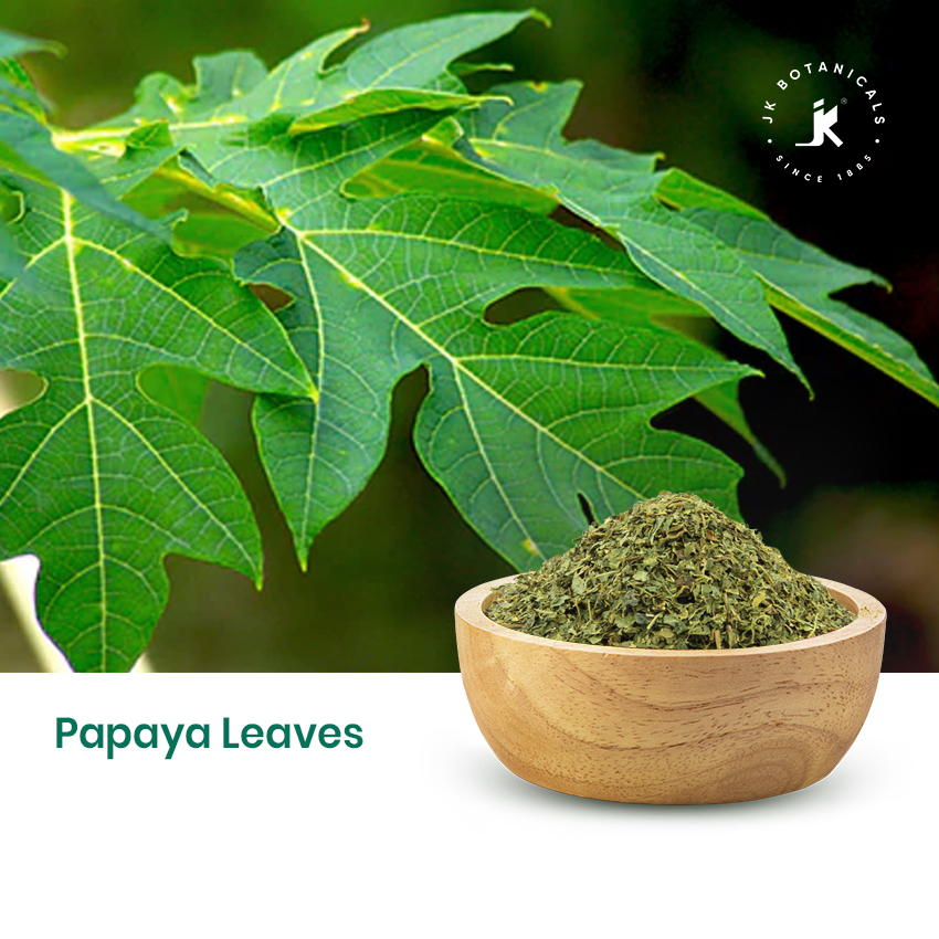 Papaya Leaves