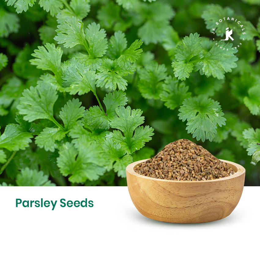 Parsley Seeds