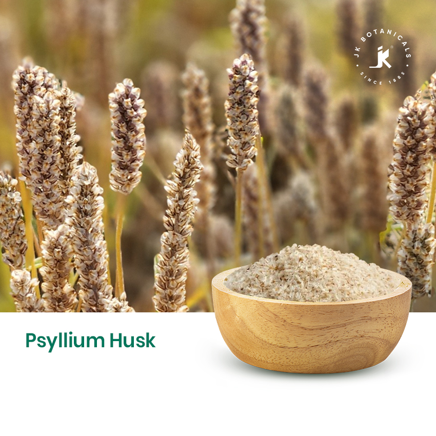Psyllium Husk