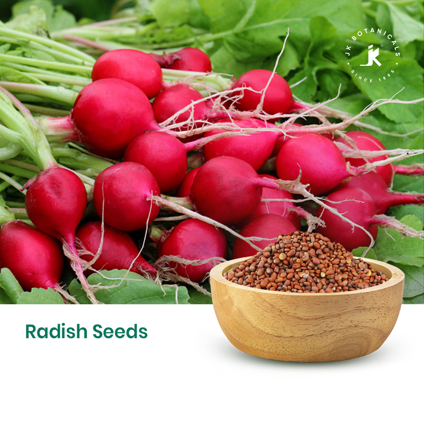 Radish Seeds