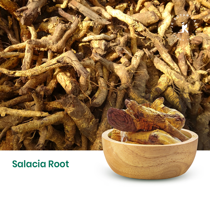 Salacia Root