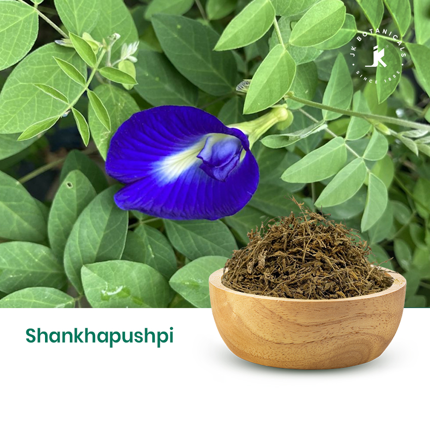 Shankhapushpi
