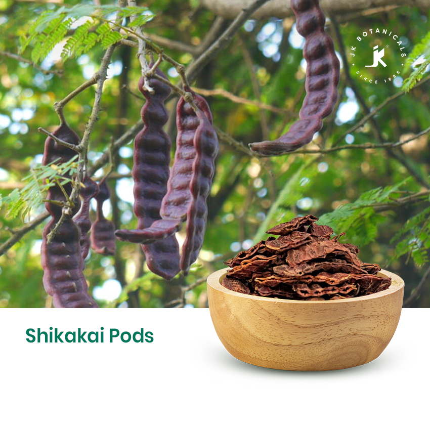 Shikakai Pods