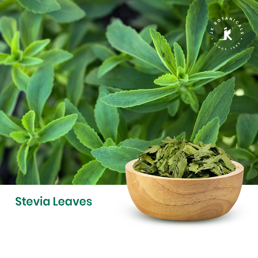 Stevia Leaves
