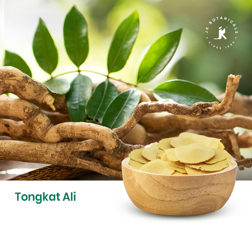 Tongkat Ali Root