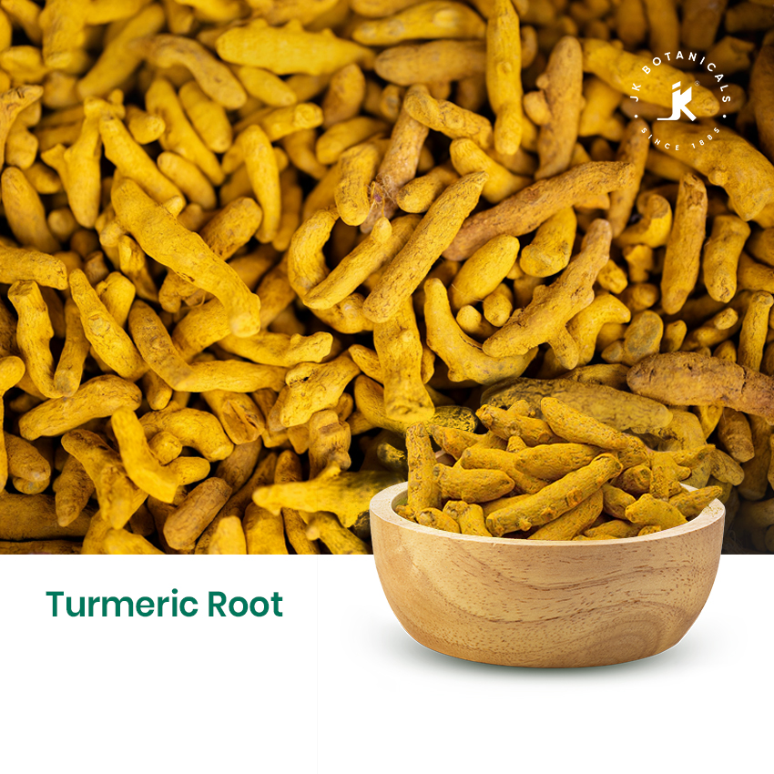 Turmeric Root