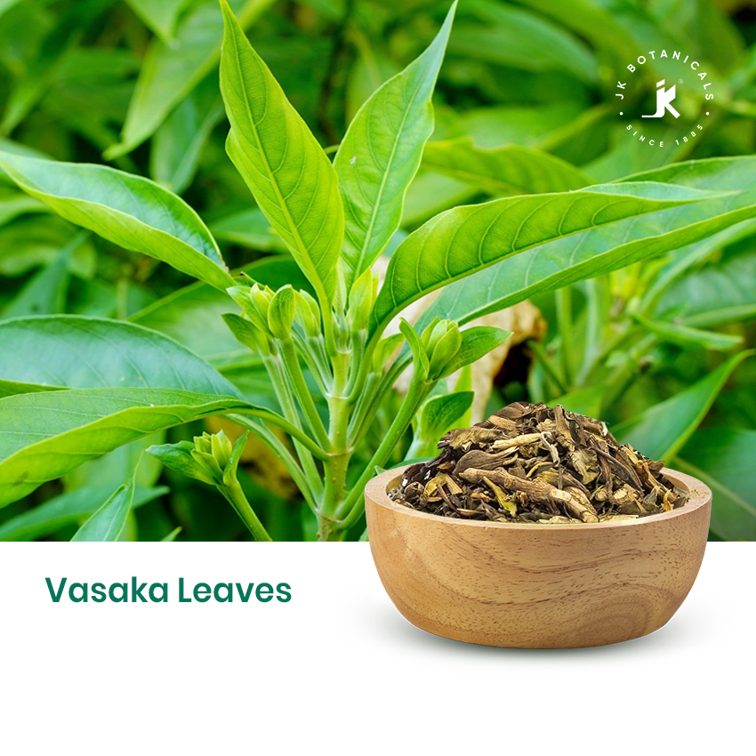 Vasaka Leaves