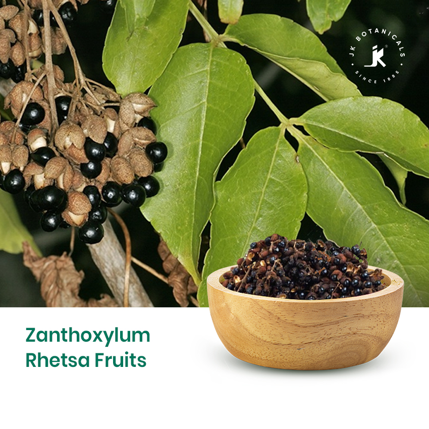 Zanthoxylum Rhetsa Fruits