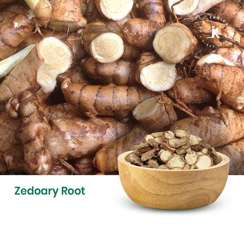 Zedoary Root