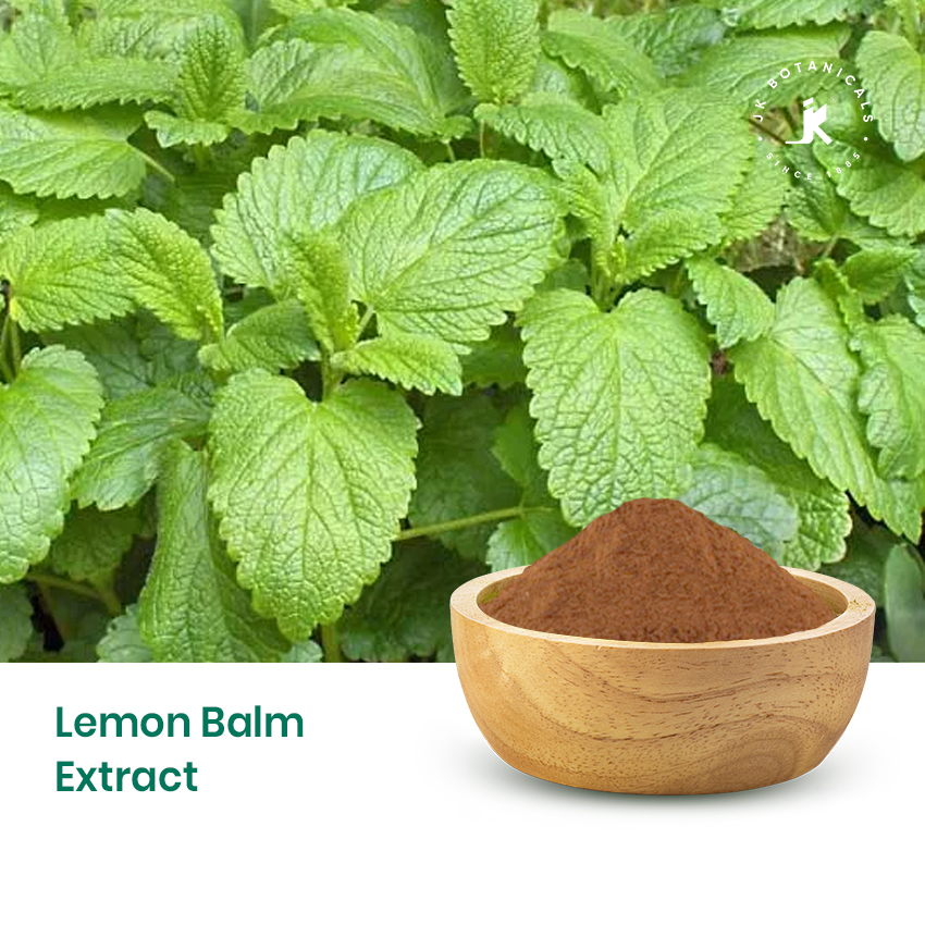 Lemon Balm Extract